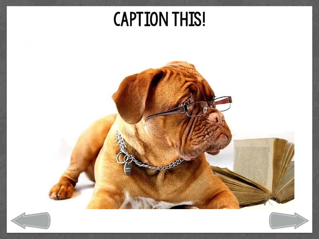 CaptionThis Dogs In Action The Digital SLP