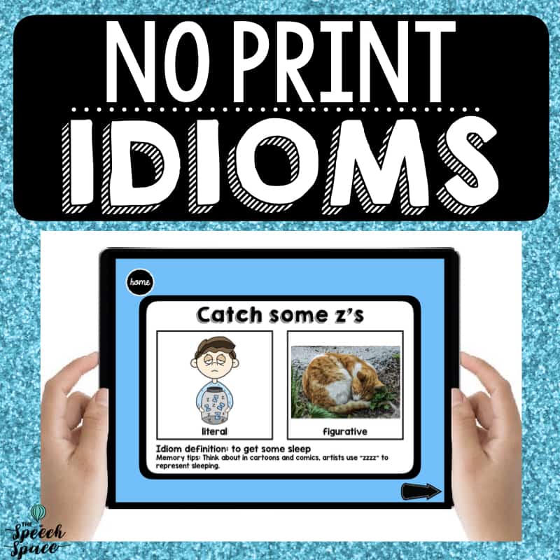 No Print Idioms Cover Image