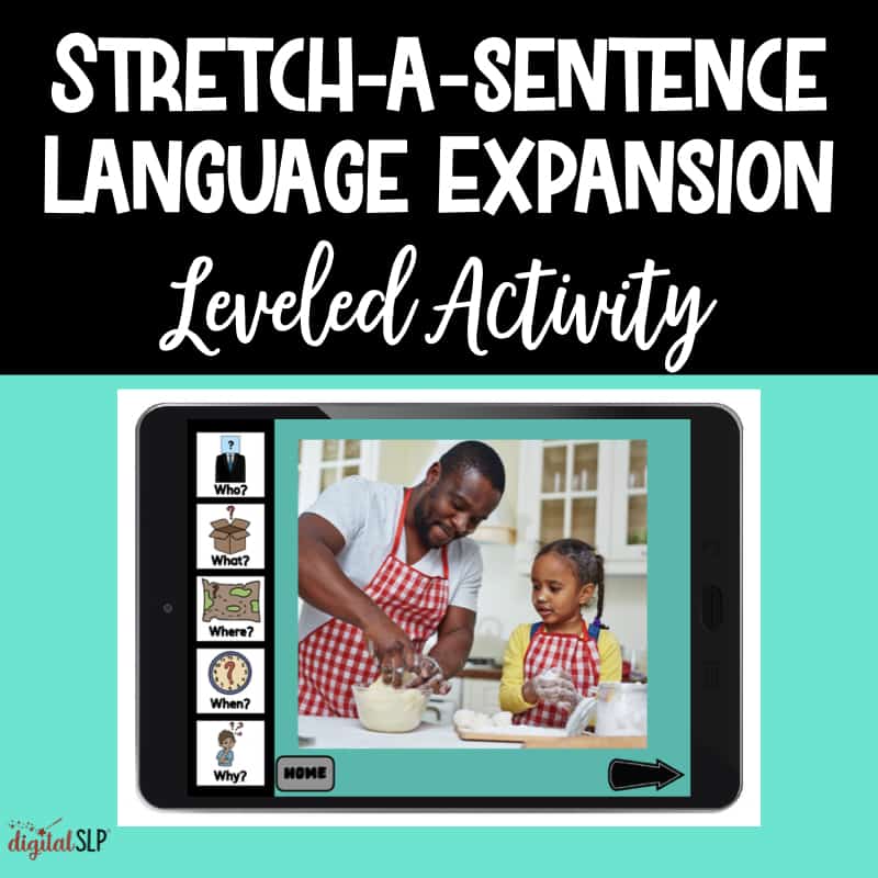 No Print: Stretch-A-Sentence Cover Image