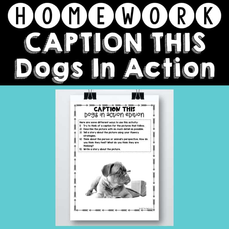 Caption This! Dogs In Action Homework Helper Cover Image