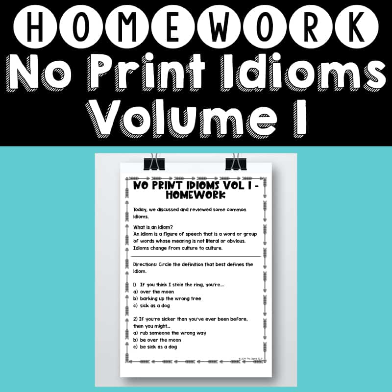 No Print Idiom Lesson: Volume 1 Homework Helper Cover Image